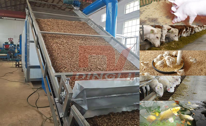 ������Ϻ�əC