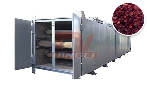 ����/�o������əC(j��)