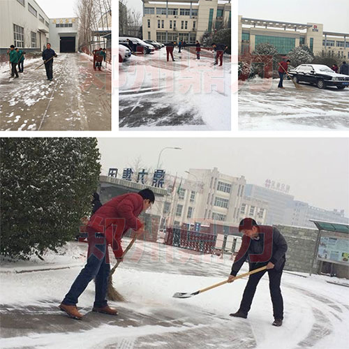 ������ѩæ