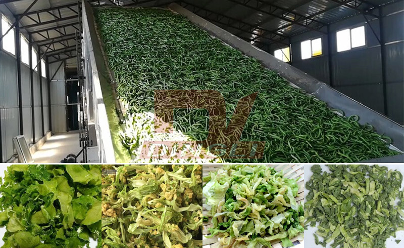 ���˺�əC(j��)