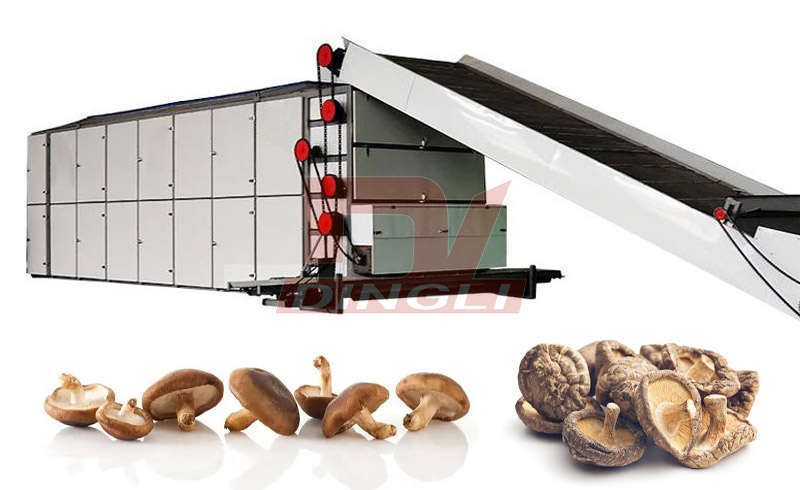 Ģ����əC(j��)